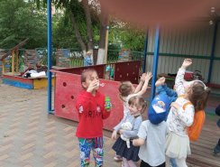 img (7)
